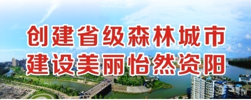 在线观看操小B创建省级森林城市 建设美丽怡然资阳